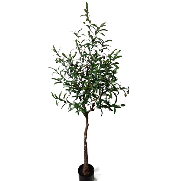 OLIVE TREE NP4817_160_22 ΥΨΟΣ 160cm NewPlan