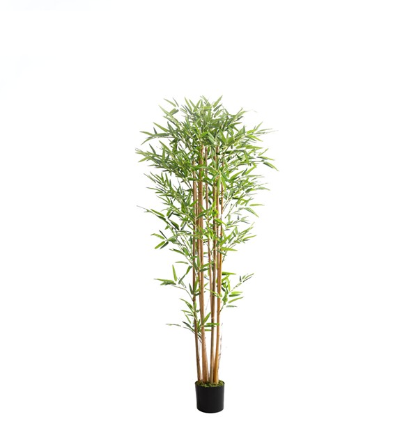 BAMBOO NP0075_180 ΥΨΟΣ 180cm NewPlan
