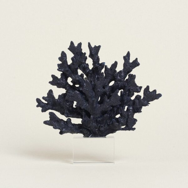 Beauty Home ΚΟΡΑΛΙ ΣΚ. ΜΠΛΕ ΜΕ ΒΑΣΗ PLEXI GLASS 24 x 24 cm