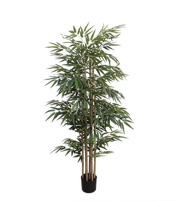 BAMBOO NP824_153 ΥΨΟΣ 153cm NewPlan