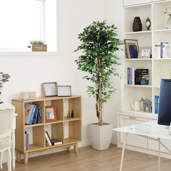 FICUS TREE NP0081_210 ΥΨΟΣ 210cm NewPlan - Image 3