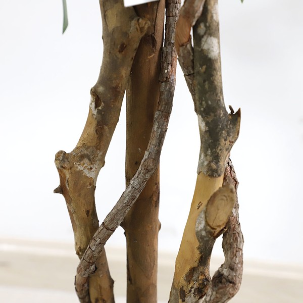 FICUS TREE NP5209_180 ΥΨΟΣ 180cm NewPlan - Image 3